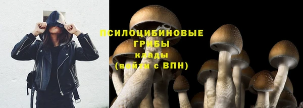 метадон Беломорск