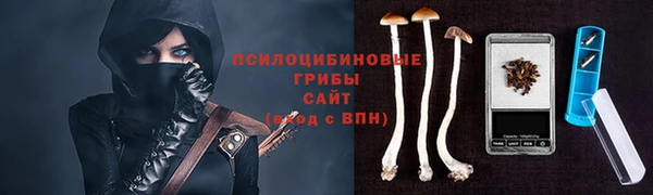 метадон Беломорск