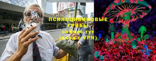 сатива Белоозёрский