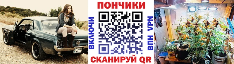 Каннабис сатива Невельск